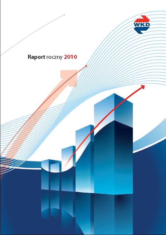 raport 2010