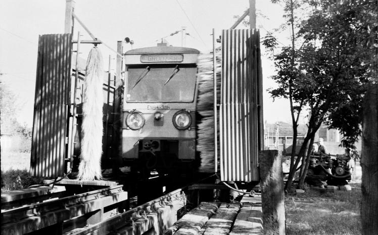 31