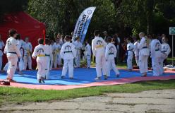 teakwondo