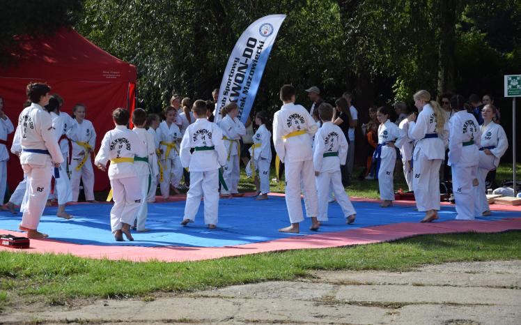 teakwondo