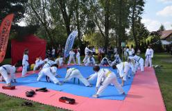 teakwondo1