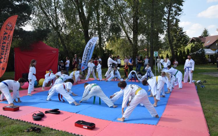 teakwondo1