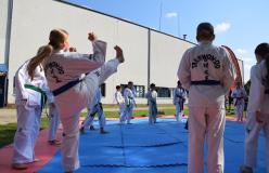 teakwondo2