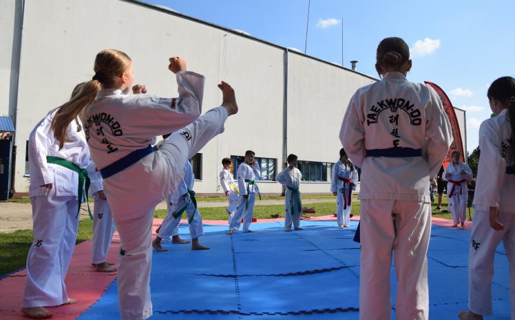 teakwondo2