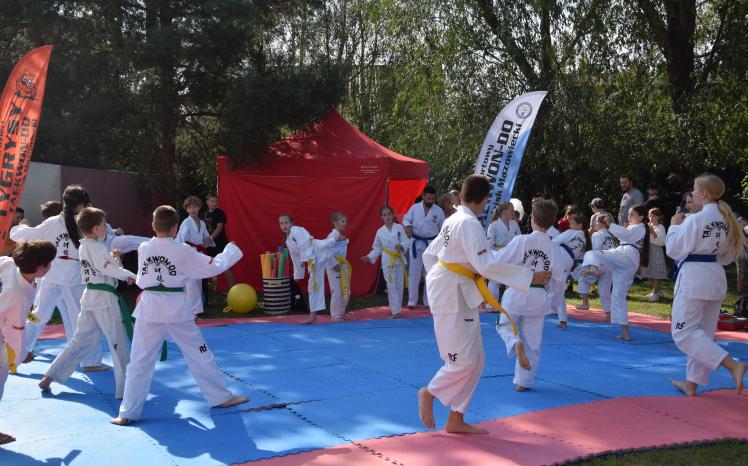 teakwondo3