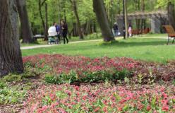 park_miejski_brwinów_5
