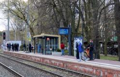 turkol_1_55